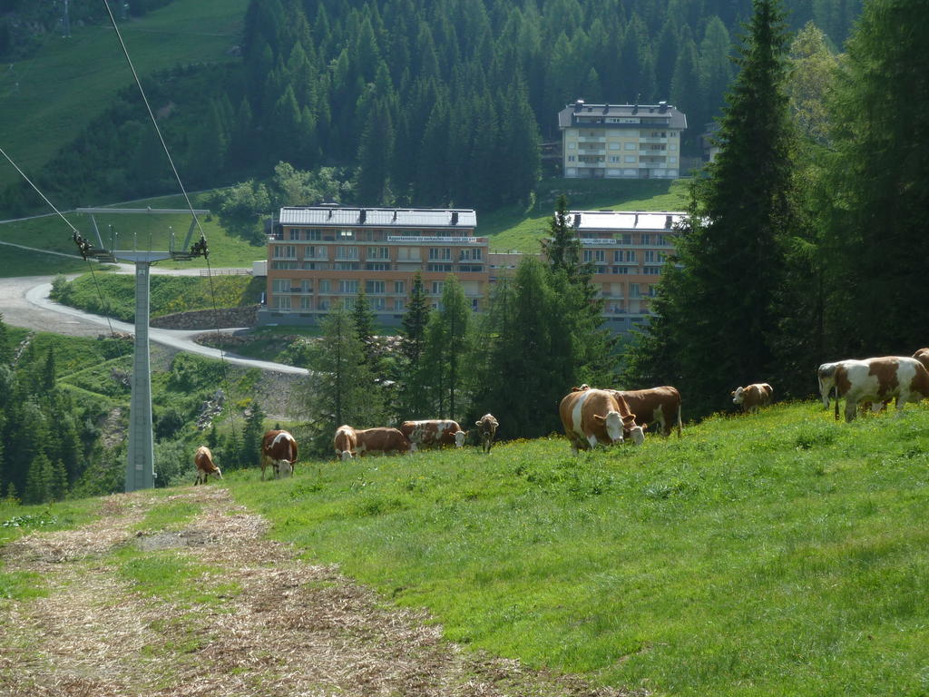 Appartementhaus Ckpk Sonnenalpe Nassfeld Εξωτερικό φωτογραφία